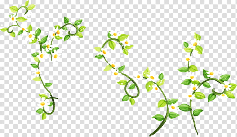Floral Flower, Weeping Willow, Tree, Architecture, Green, Branch, Leaf, Plant transparent background PNG clipart