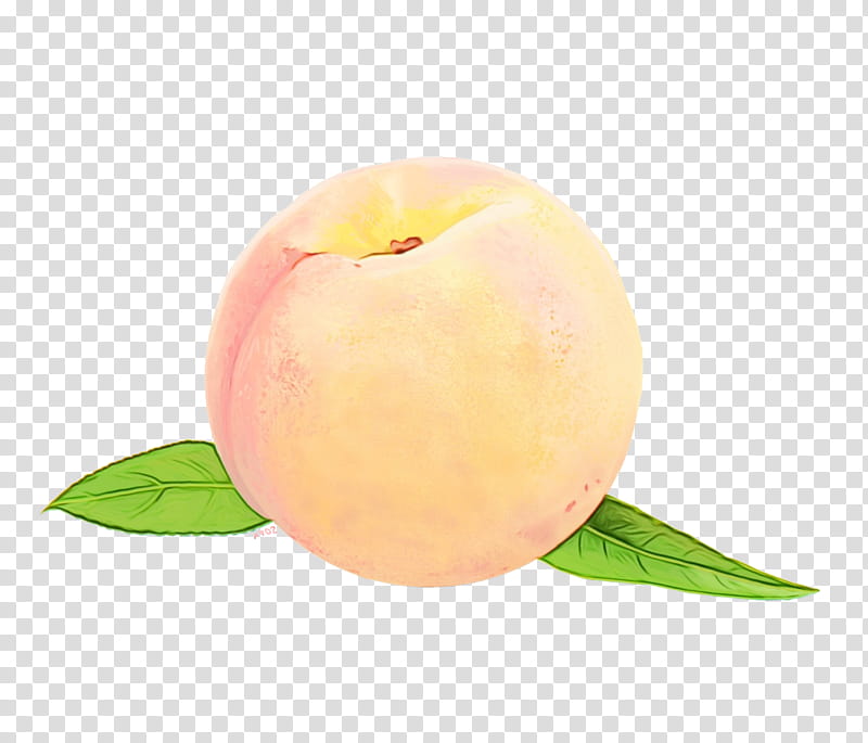 Watercolor Flower, Peach, Apple, Yellow, Fruit, Plant, Watercolor Paint, Leaf transparent background PNG clipart