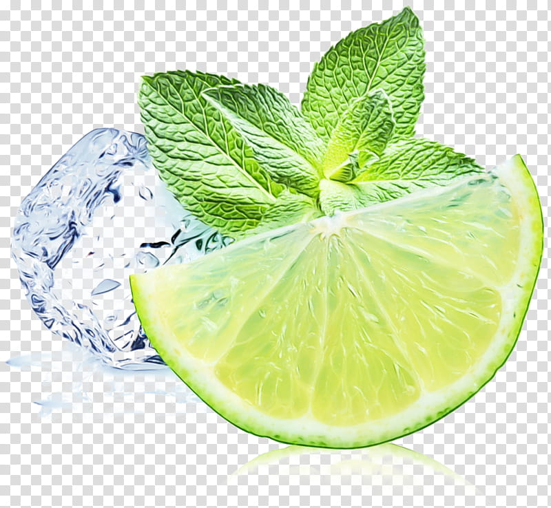 Mint Leaf, Iced Tea, Lemonade, Peppermint, Cocktail, Juice, Lime, Lemon Balm transparent background PNG clipart