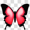 Butterfly Cam, ButterflyCam_Red icon transparent background PNG clipart