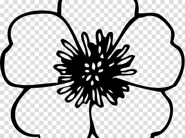 Black And White Flower, Drawing, Poppy, Petal, Coloring Book, Black And White
, Cut Flowers, Flower Bouquet transparent background PNG clipart