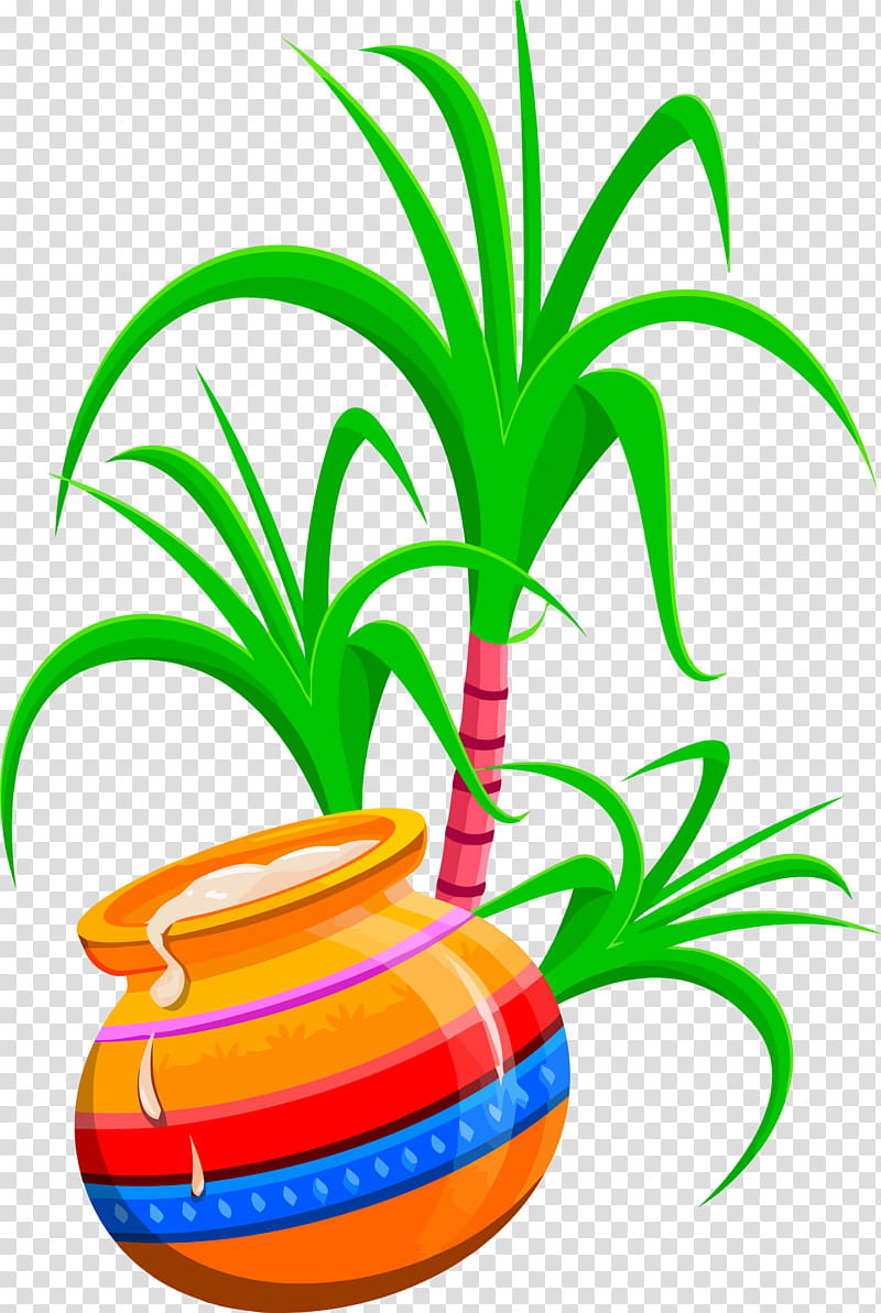 Happy Pongal Tai Pongal Thai Pongal, Houseplant, Flowerpot, Leaf, Tree, Palm Tree, Arecales, Line transparent background PNG clipart