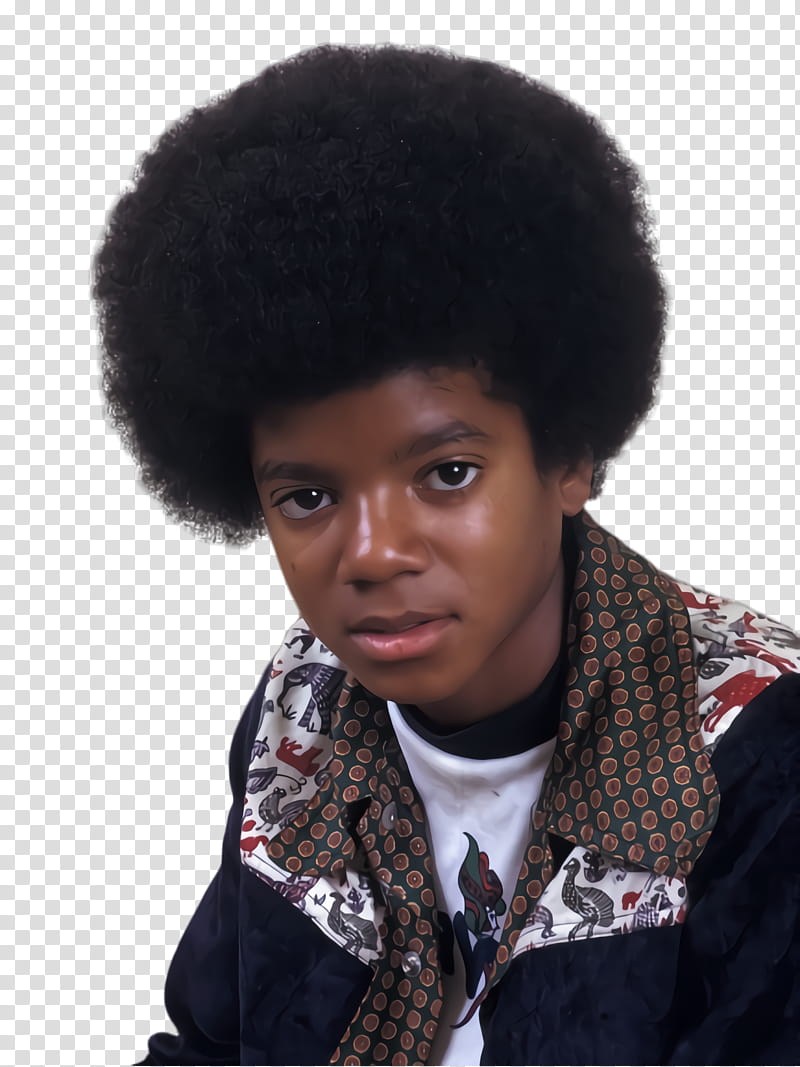 Hair, Michael Jackson, Pop Music, Singer, Afro, Jheri Curl, Fur, Wig transparent background PNG clipart