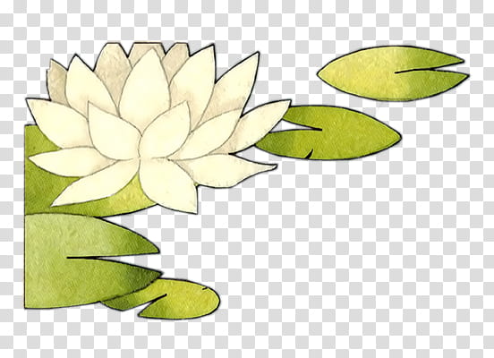 Goldfishes and lotus xp, white flower transparent background PNG clipart