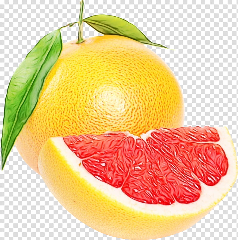 Lemon Drawing, Grapefruit, Pomelo, Tangelo, Orange, Web Design, Citrus, Food transparent background PNG clipart