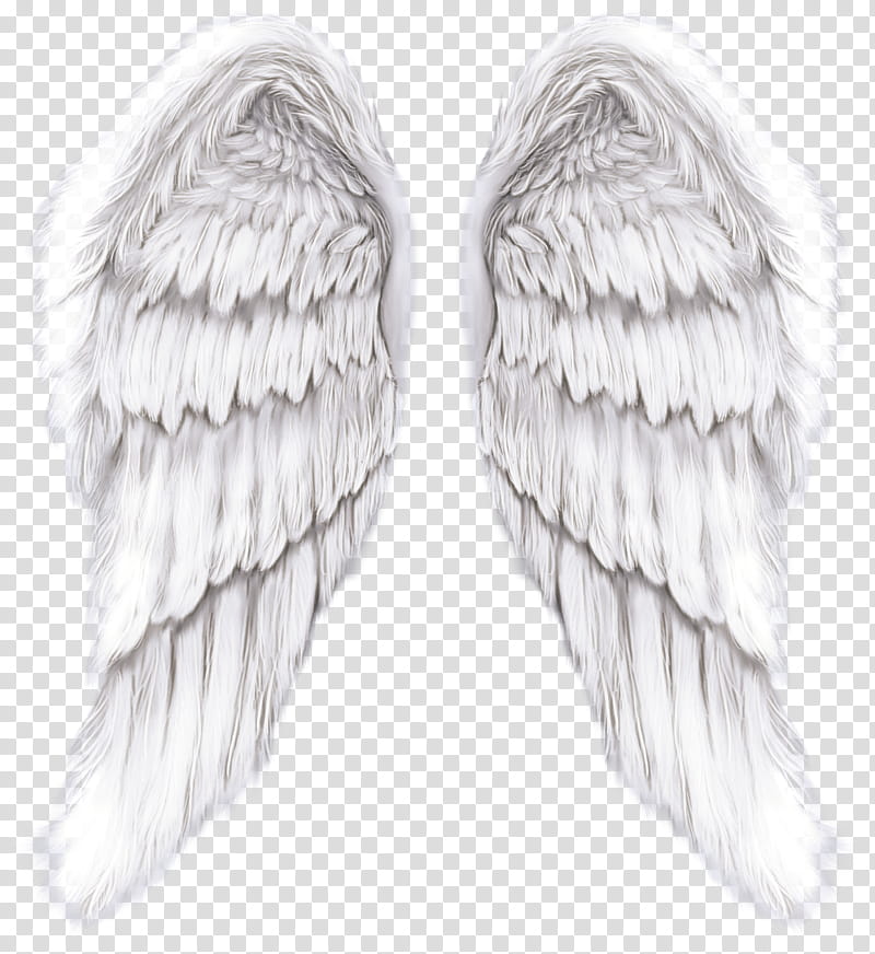 Feather, White, Wing, Angel, Earrings transparent background PNG clipart