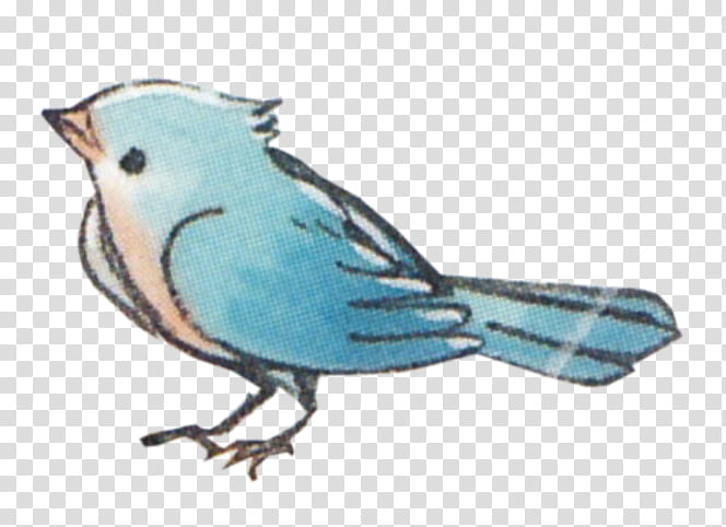 Blue Bird xp, blue bird transparent background PNG clipart
