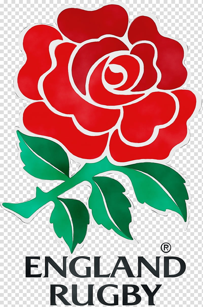 Watercolor Flower, Paint, Wet Ink, England National Rugby Union Team, Twickenham Stadium, Six Nations Championship, Rugby Football, Sports transparent background PNG clipart