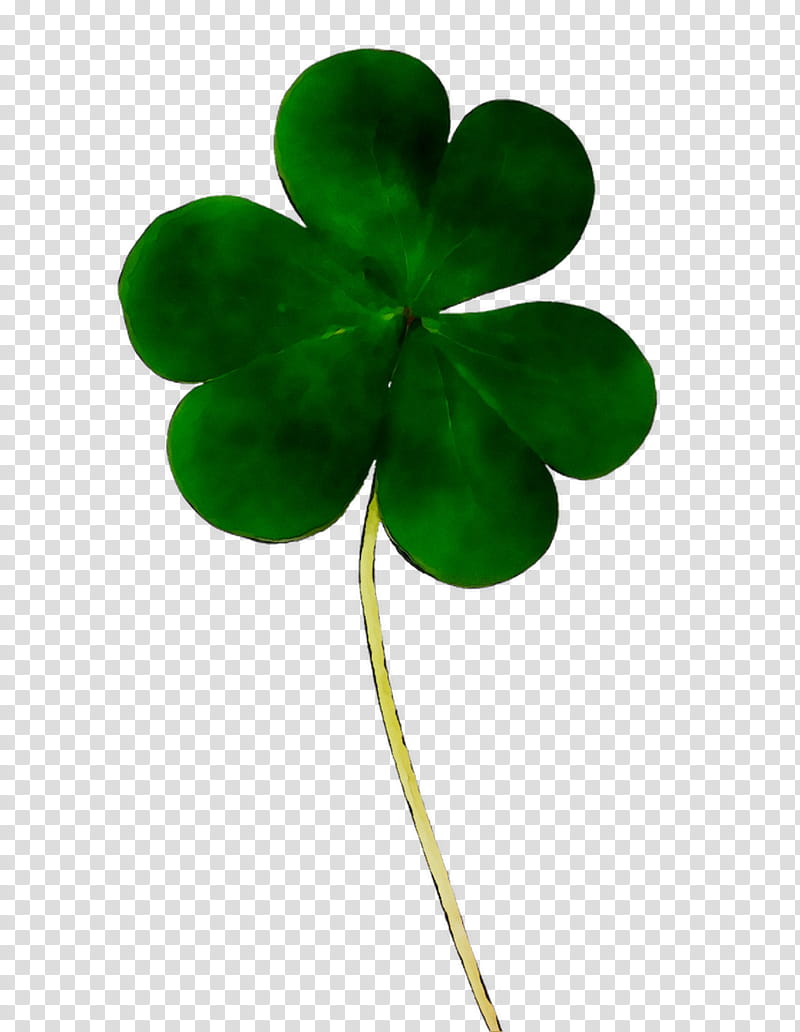Saint Patricks Day, Shamrock, Fourleaf Clover, Irish People, Luck, Green, Plant, Symbol transparent background PNG clipart