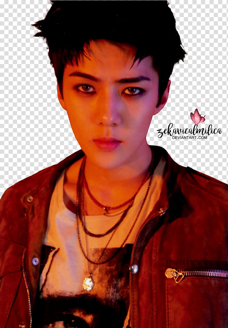 EXO Sehun LOTTO transparent background PNG clipart