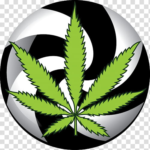 Green Day Logo, Cannabis, Cannabis Sativa, Medical Cannabis, Cannabis Shop, Kush, Hemp, Leafly transparent background PNG clipart