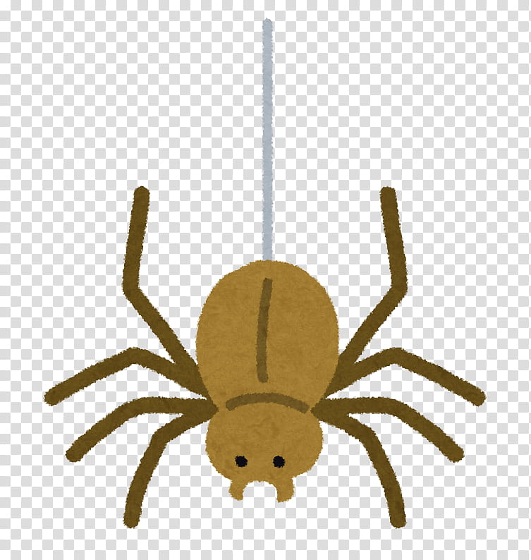 japan-spider-meaning-synonym-opposite-proverb-vocabulary