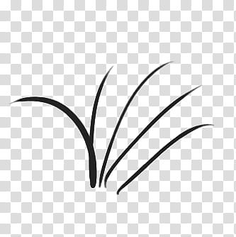 Brushs ALL transparent background PNG clipart