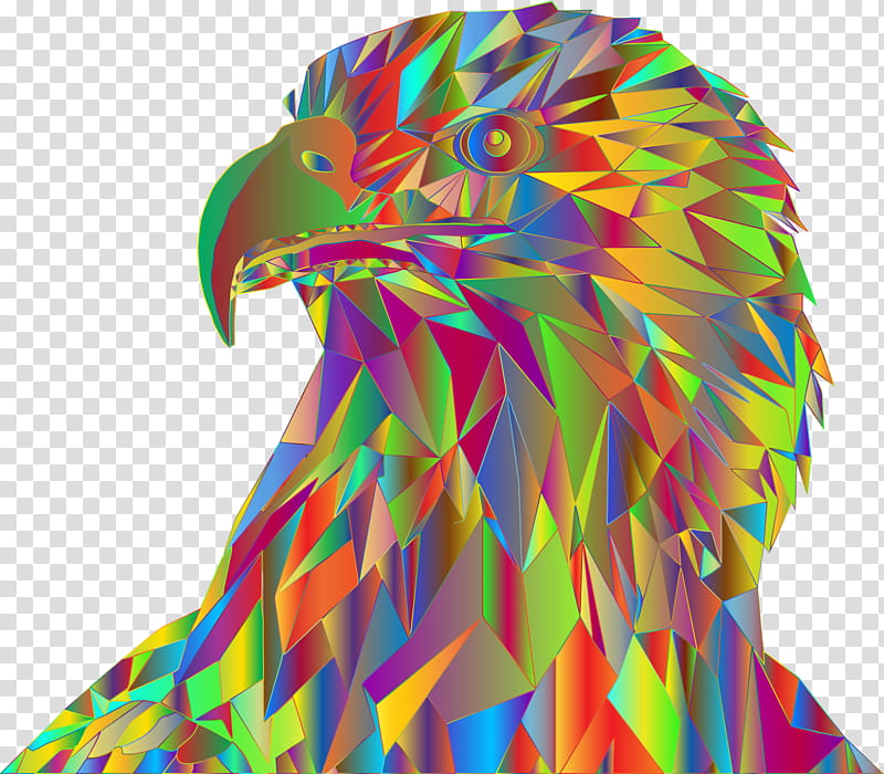 Eagle, Bald Eagle, Pop Art, 2018, Beak, Parrot, Feather, Macaw transparent background PNG clipart