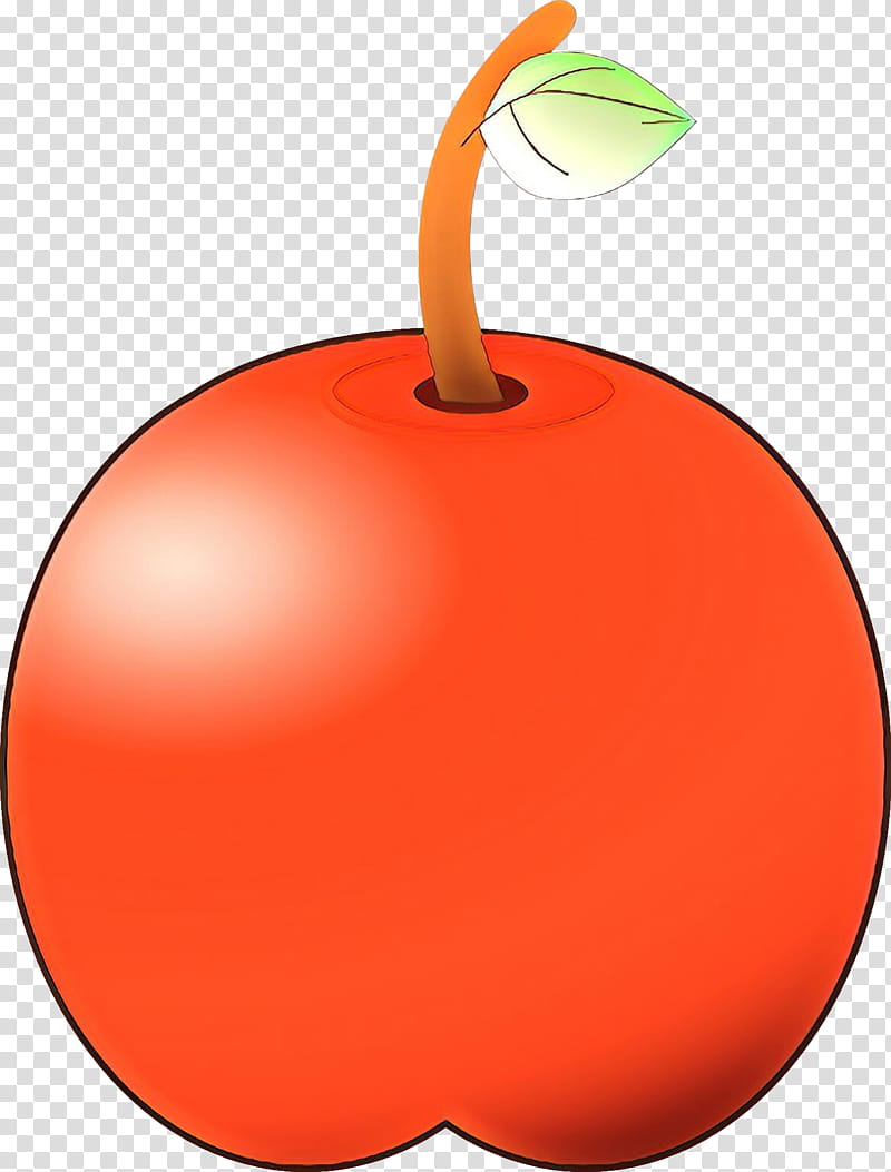Orange, Cartoon, Fruit, Plant, Tree, Drupe, Apple, Peach transparent background PNG clipart