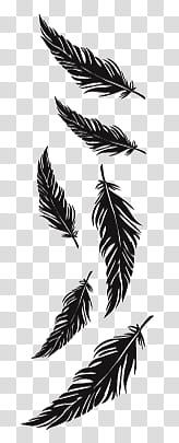 s, six black feathers falling illustration transparent background PNG clipart