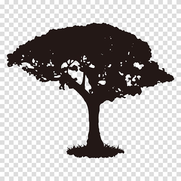 Tree Branch Silhouette, Youtube, Walnut Tree, Wood, Africa, Youtuber, Woody Plant, Black And White transparent background PNG clipart