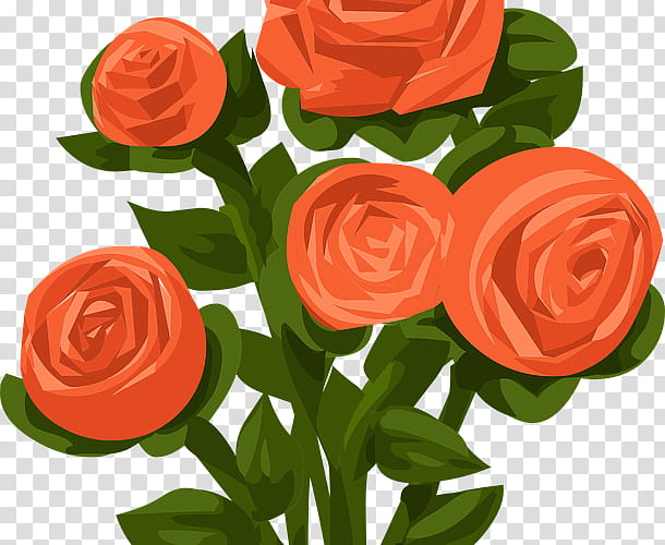 Drawing Of Family, Rose, Shrub, Red Rose Of Lancaster, White Rose Of York, Garden Roses, Flower, Orange transparent background PNG clipart