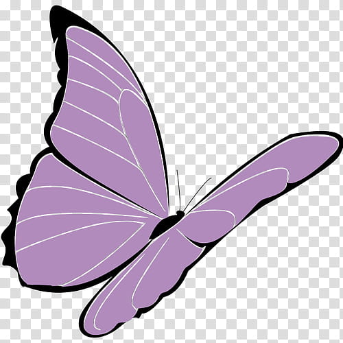 Lavender, Purple, Violet, Butterfly, Color, Pink, Blue, Shades Of Purple transparent background PNG clipart