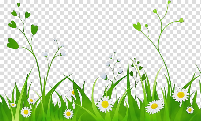 Transparency Cartoon Drawing GIF Design, Watercolor, Paint, Wet Ink, Grass, Green, Chamomile, Flower transparent background PNG clipart