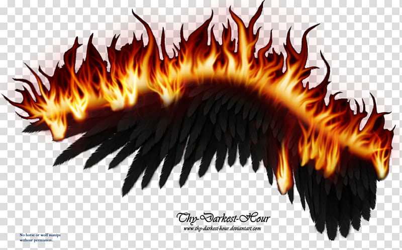 Wings on Fire Black , The Darkest Hour illustration transparent background PNG clipart