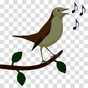 bird sound clipart free