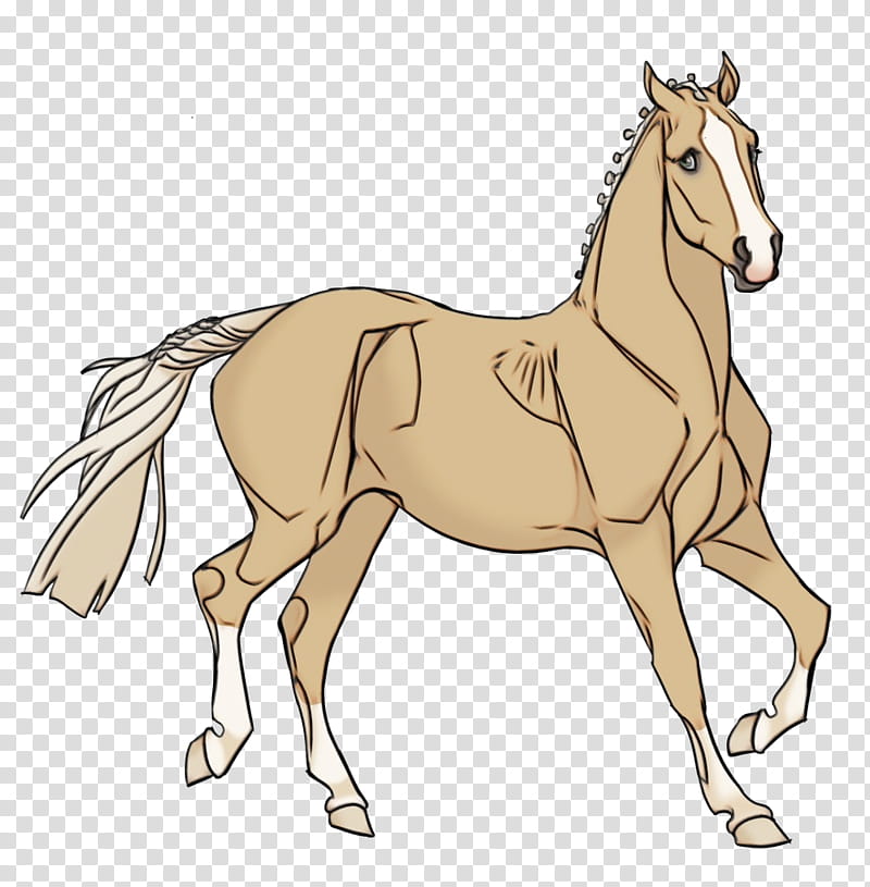horse sorrel mane line art animal figure, Watercolor, Paint, Wet Ink, Mare, Stallion, Foal transparent background PNG clipart