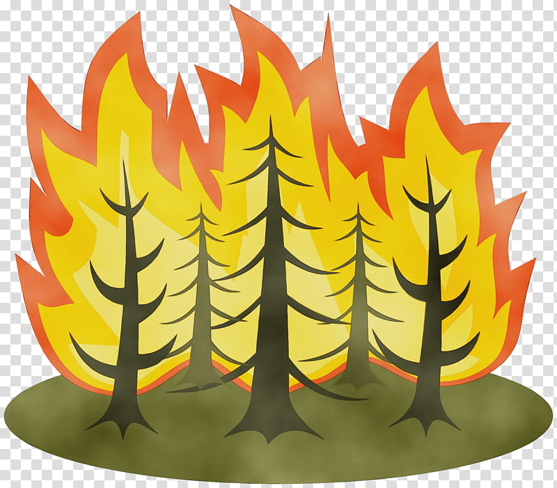 Forest Fires Illustration | Forest fire, Forest drawing, Cool art projects