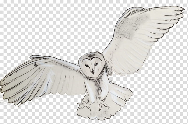 barn owl snowy owl line art owl wing, Watercolor, Paint, Wet Ink, Angel, Drawing, Fictional Character, Supernatural Creature transparent background PNG clipart