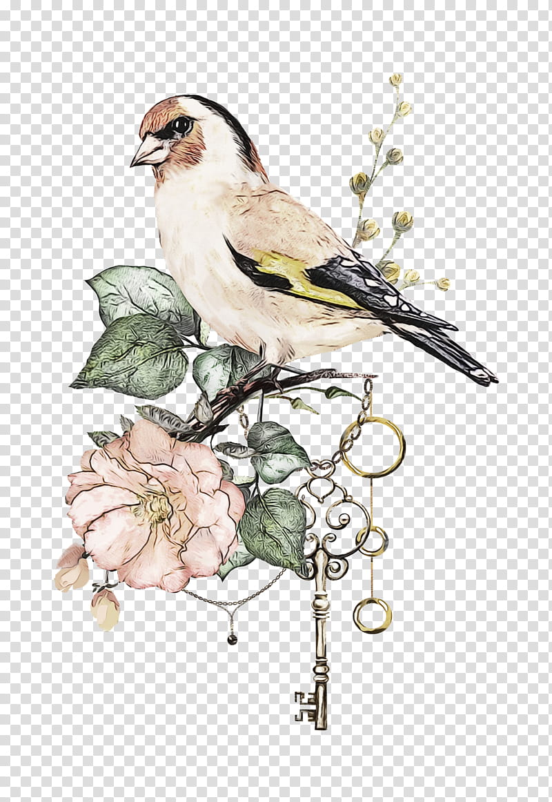 Watercolor Flower, Paint, Wet Ink, Finches, Sparrow, Bunting, Beak, Flora transparent background PNG clipart