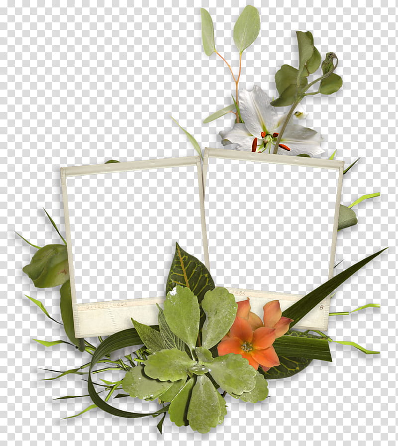 Background Floral, 3D Computer Graphics, Blog, Recording, Humour, Flowerpot, Plant, Leaf transparent background PNG clipart