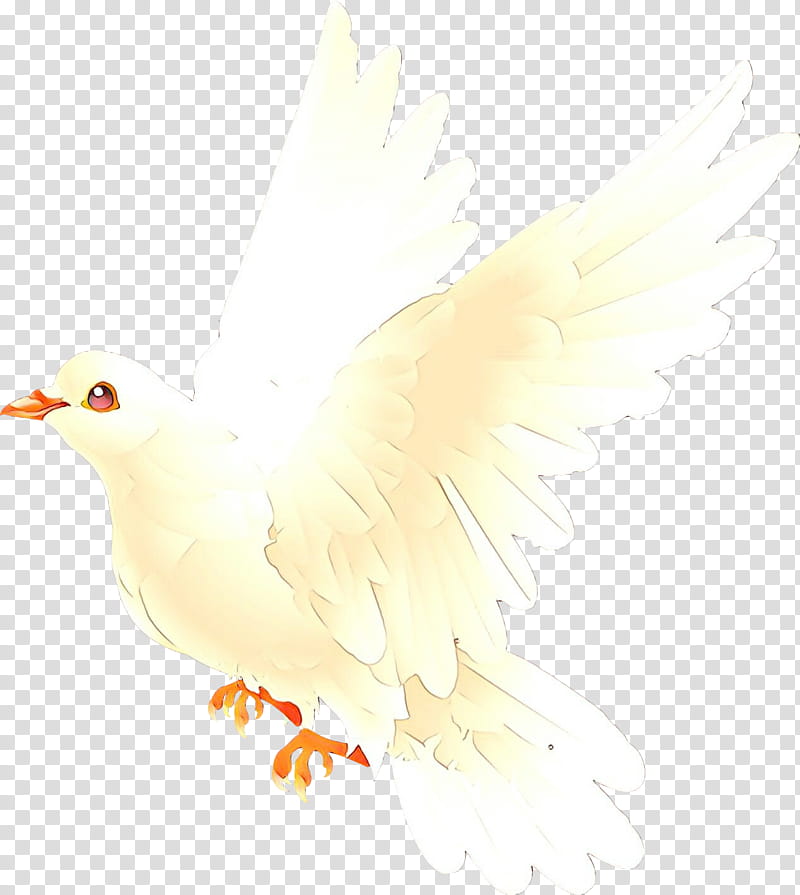 Chicken, Cartoon, Bird, Swans, Goose, Pigeons And Doves, Beak, Duck transparent background PNG clipart
