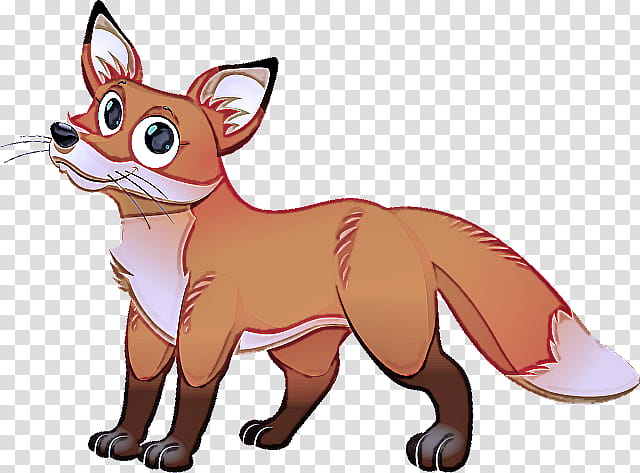 cartoon red fox swift fox fox, Cartoon, Snout transparent background PNG clipart