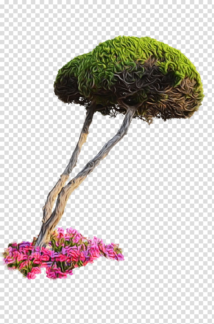 Family Tree, Flowerpot, Houseplant, Bonsai, Leyland Cypress, Penjing, Garden, Ornamental Plant transparent background PNG clipart
