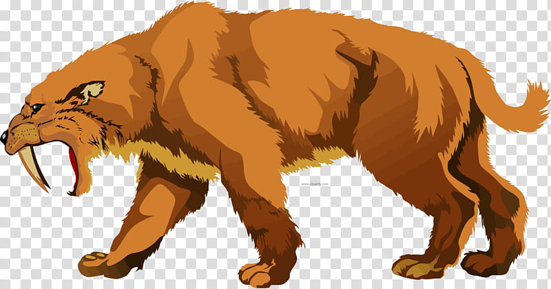 Fauna Mammal Dog Like Mammal Vertebrate Lion Cat Like - Fullmetal Alchemist Brotherhood  Dog Girl - Free Transparent PNG Clipart Images Download