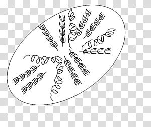 cartoon s, gray illustration transparent background PNG clipart thumbnail