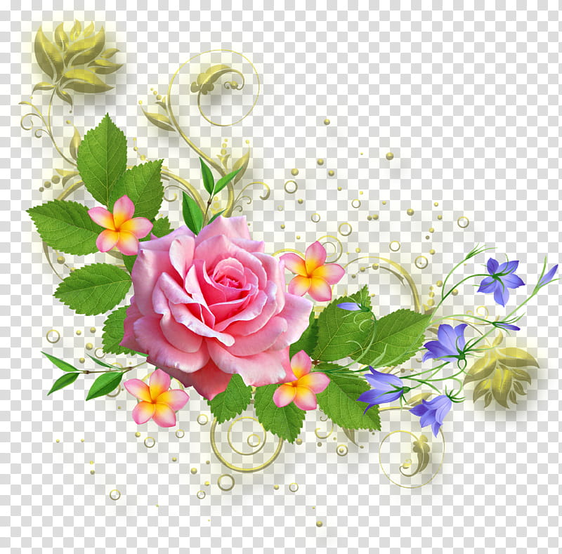 Floral Flower, Flower Designs, Floral Design, BORDERS AND FRAMES, Tropical Flowers, Painting, Rose, Flower Arranging, Floristry, Cut Flowers transparent background PNG clipart