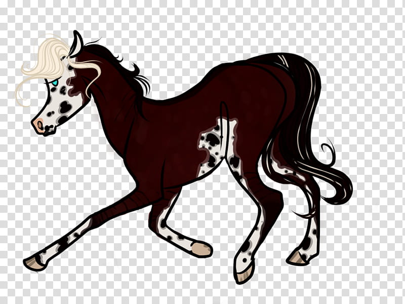 Horse, Mustang, Pony, Foal, Halter, Stallion, Mane, Bridle transparent background PNG clipart