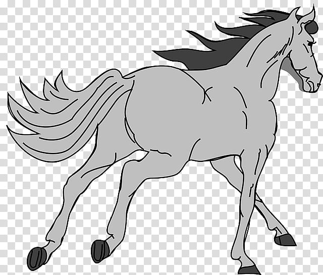 Horse, Arabian Horse, American Paint Horse, Mustang, Pony, Gray, American Quarter Horse, White transparent background PNG clipart