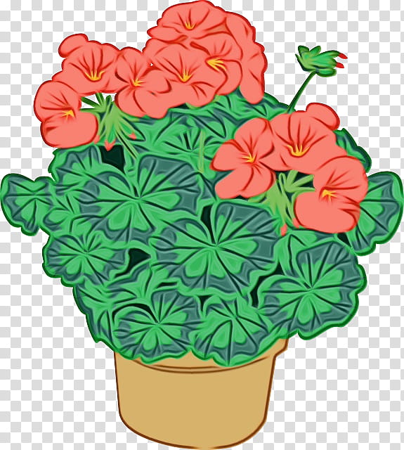 Pot Leaf, Transportation, Cranesbill, Flowerpot, Flowering Pot Plants 2, Geraniums, Houseplant, Throw Pillows transparent background PNG clipart