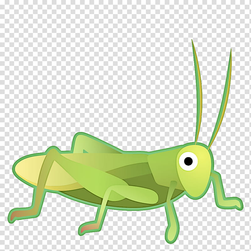 Grasshopper Grasshopper, Locust, Insect, Pest, Pollinator, Cricket, Membrane, Cricketlike Insect transparent background PNG clipart
