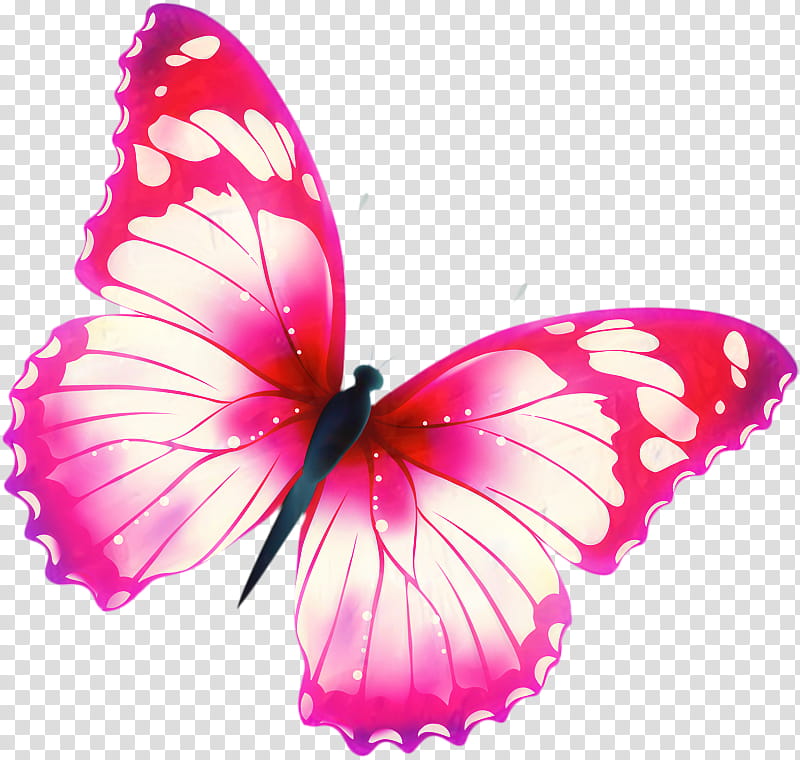 Watercolor Butterfly, Watercolor Painting, Cartoon, Insect, Moths And Butterflies, Pink, Pollinator, Petal transparent background PNG clipart