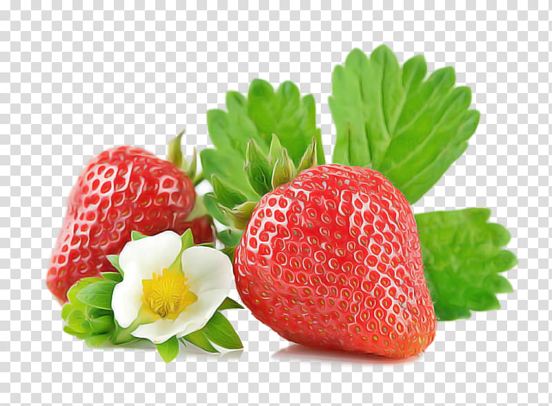 Strawberry, Strawberries, Natural Foods, Fruit, Plant, Frutti Di Bosco, Superfood, Accessory Fruit transparent background PNG clipart
