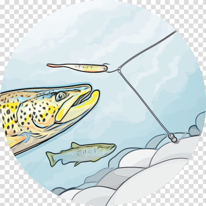 Water, Ecosystem, Yellow, Cartoon, Fish, Plate, Dishware, Trout transparent background PNG clipart