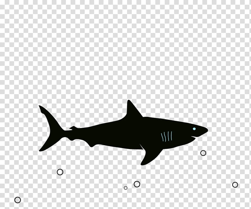 Great White Shark, Megalodon, Blue Shark, Shark Attack, Bumper Sticker, Party, Jaws, Birthday transparent background PNG clipart