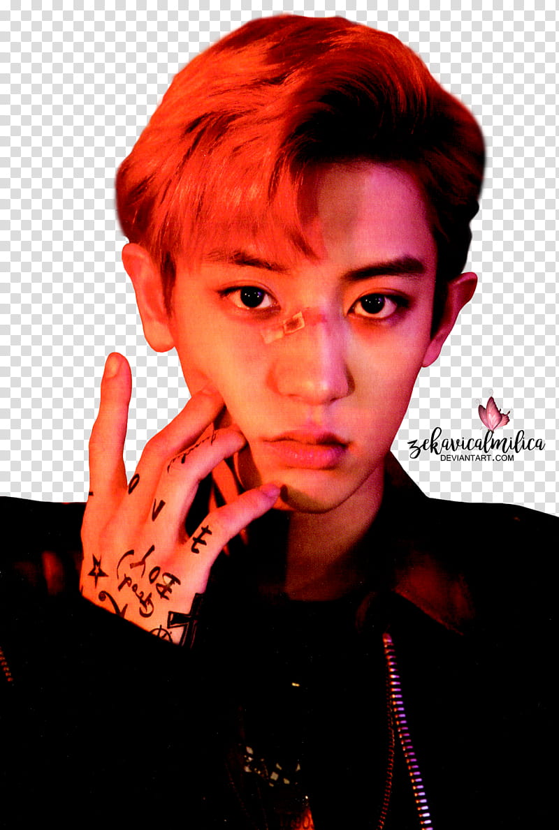 EXO Chanyeol LOTTO, man wearing black zip-up jacket transparent background PNG clipart