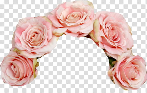 Style, pink roses headband transparent background PNG clipart