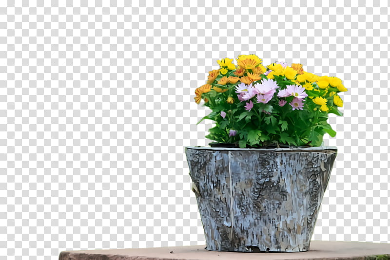 flowerpot houseplant flower plant yellow, Vase, Grass, Cut Flowers, Bouquet transparent background PNG clipart