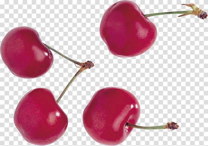 Color, Cherries, Cerasus, Berries, Fruit, Raster Graphics, Sweet Cherry, Wild Crapemyrtle transparent background PNG clipart