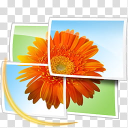Windows Live Wave , live--gallery icon transparent background PNG ...